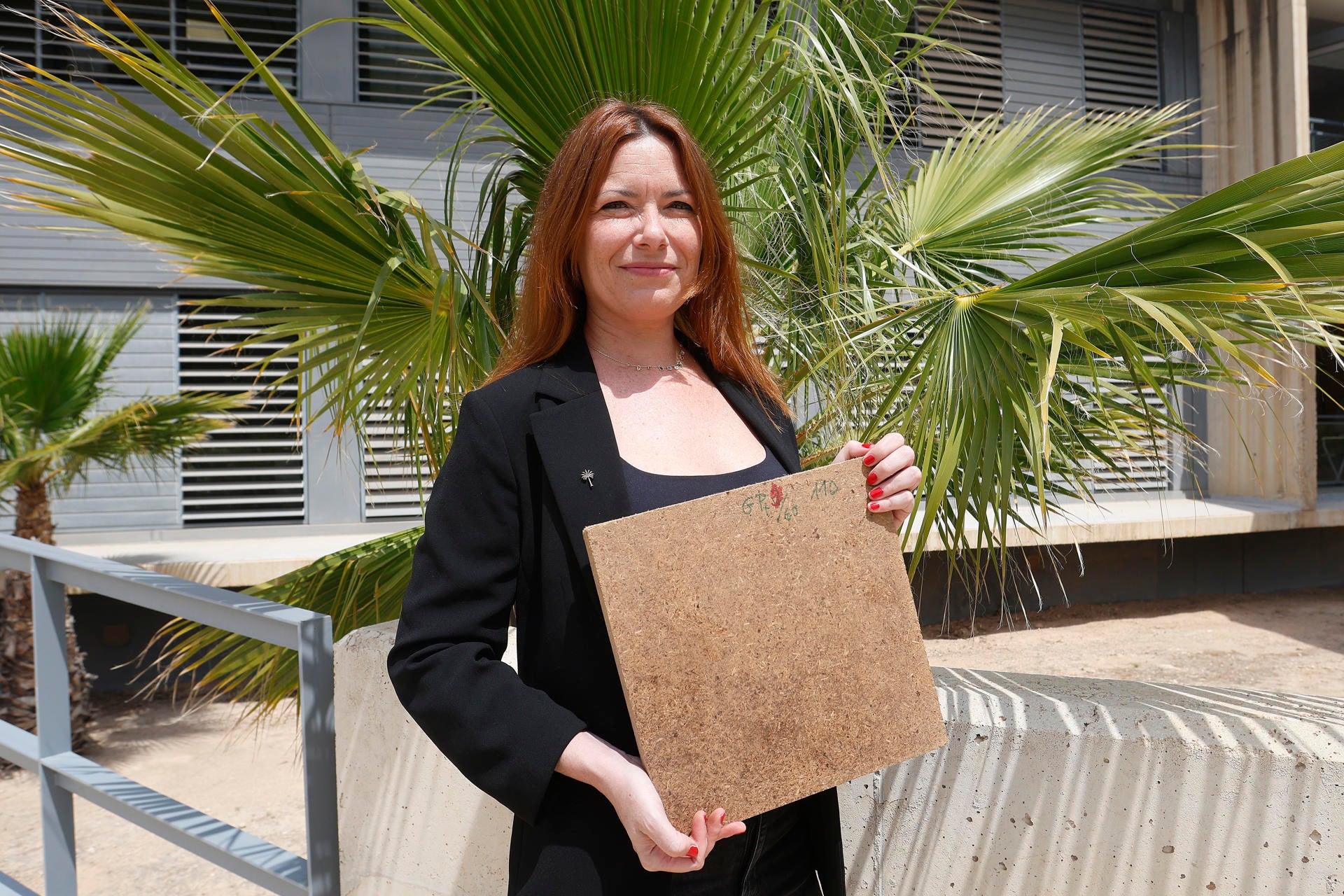 Una spin off de la UMH de Elche patenta el uso de residuos de palmera para crear tablones de aglomerado sin pegamento Una spin off de la UMH de Elche patenta el uso de residuos de palmera para crear tablones de aglomerado sin pegamento