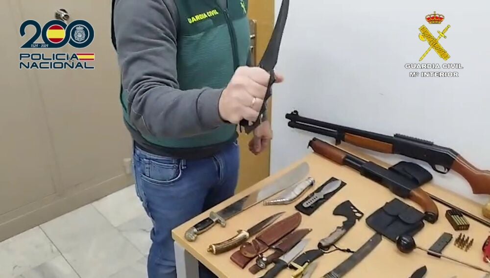 Armas intervenidas a los detenidos