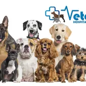 VETERPET VETERPET