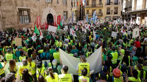 Personal docente se concentra ante el Palau de la Generalitat durante este miércoles, tercera jornada de huelga indefinida del profesorado de la Comunitat Valenciana. Personal docente se concentra ante el Palau de la Generalitat durante este miércoles, tercera jornada de huelga indefinida del profesorado de la Comunitat Valenciana.