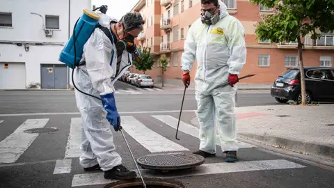 El Ayuntamiento de Mérida pone en marcha una nueva campaña de desratización en toda la ciudad El Ayuntamiento de Mérida pone en marcha una nueva campaña de desratización en toda la ciudad
