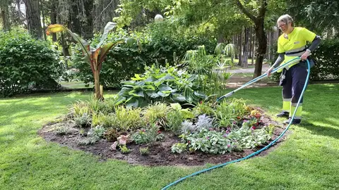 Los parterres de Huesca se renuevan con 6.100 flores y plantas de más de 80 especies Los parterres de Huesca se renuevan con 6.100 flores y plantas de más de 80 especies