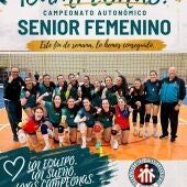 Sénior femenino de voleibol del Salesianos Elche.