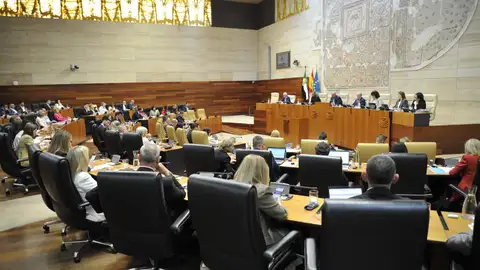 La Asamblea rechaza una propuesta de Unidas contra el acuerdo Mercosur con abstención de PP y Vox y oposición del PSOE La Asamblea rechaza una propuesta de Unidas contra el acuerdo Mercosur con abstención de PP y Vox y oposición del PSOE