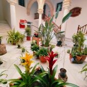 Uno de los patios portuenses que participan en la Fiesta de Los Patios