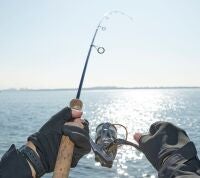 Pesca sostenible