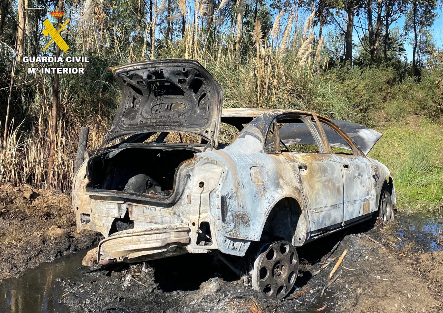 Detenido un grupo criminal por la sustracción de vehículos que posteriormente aparecían calcinados Detenido un grupo criminal por la sustracción de vehículos que posteriormente aparecían calcinados