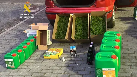 Detenido en la AP-7 con más de 300 plantas de marihuana y cocaína en la Ribera de Cabanes Detenido en la AP-7 con más de 300 plantas de marihuana y cocaína en la Ribera de Cabanes
