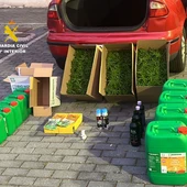 Detenido en la AP-7 con más de 300 plantas de marihuana y cocaína en la Ribera de Cabanes Detenido en la AP-7 con más de 300 plantas de marihuana y cocaína en la Ribera de Cabanes