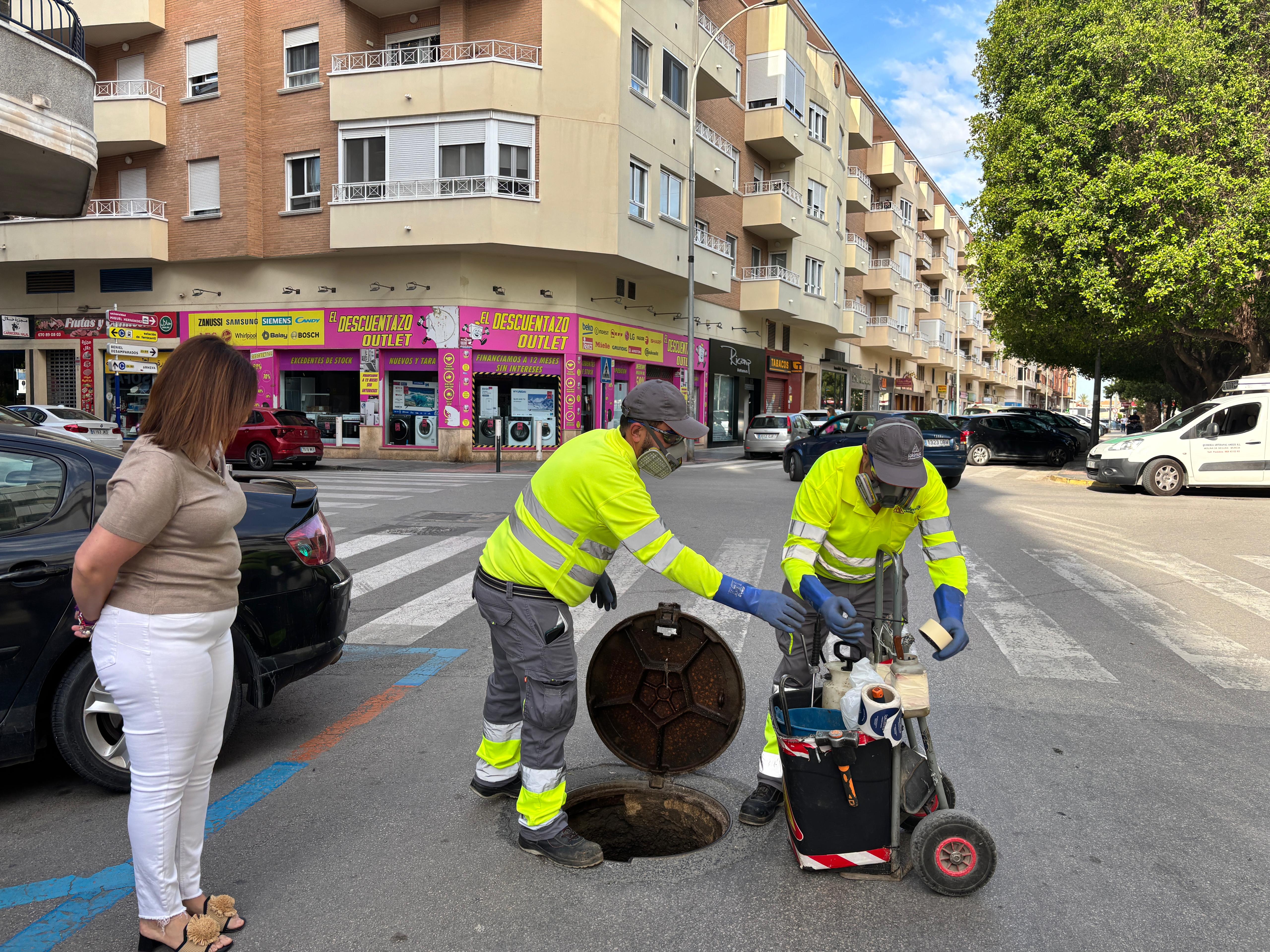 Sanidad refuerza las campañas de control y prevención de plagas de insectos y roedores ante la llegada de altas temperaturas Sanidad refuerza las campañas de control y prevención de plagas de insectos y roedores ante la llegada de altas temperaturas
