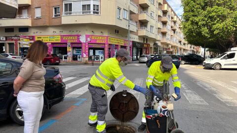 Sanidad refuerza campañas control plagas Sanidad refuerza campañas control plagas