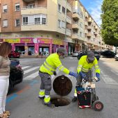 Sanidad refuerza campañas control plagas