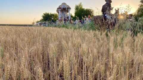 Camino al alba: de C&oacute;rdoba al Roc&iacute;o