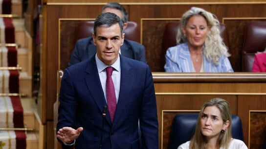 El presidente del Gobierno, Pedro S&aacute;nchez durante su intervenci&oacute;n en el pleno del Congreso.