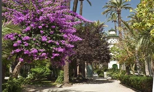 El sol sigue luciendo y dejando temperaturas altas en Elche, Crevillent y Santa Pola El sol sigue luciendo y dejando temperaturas altas en Elche, Crevillent y Santa Pola