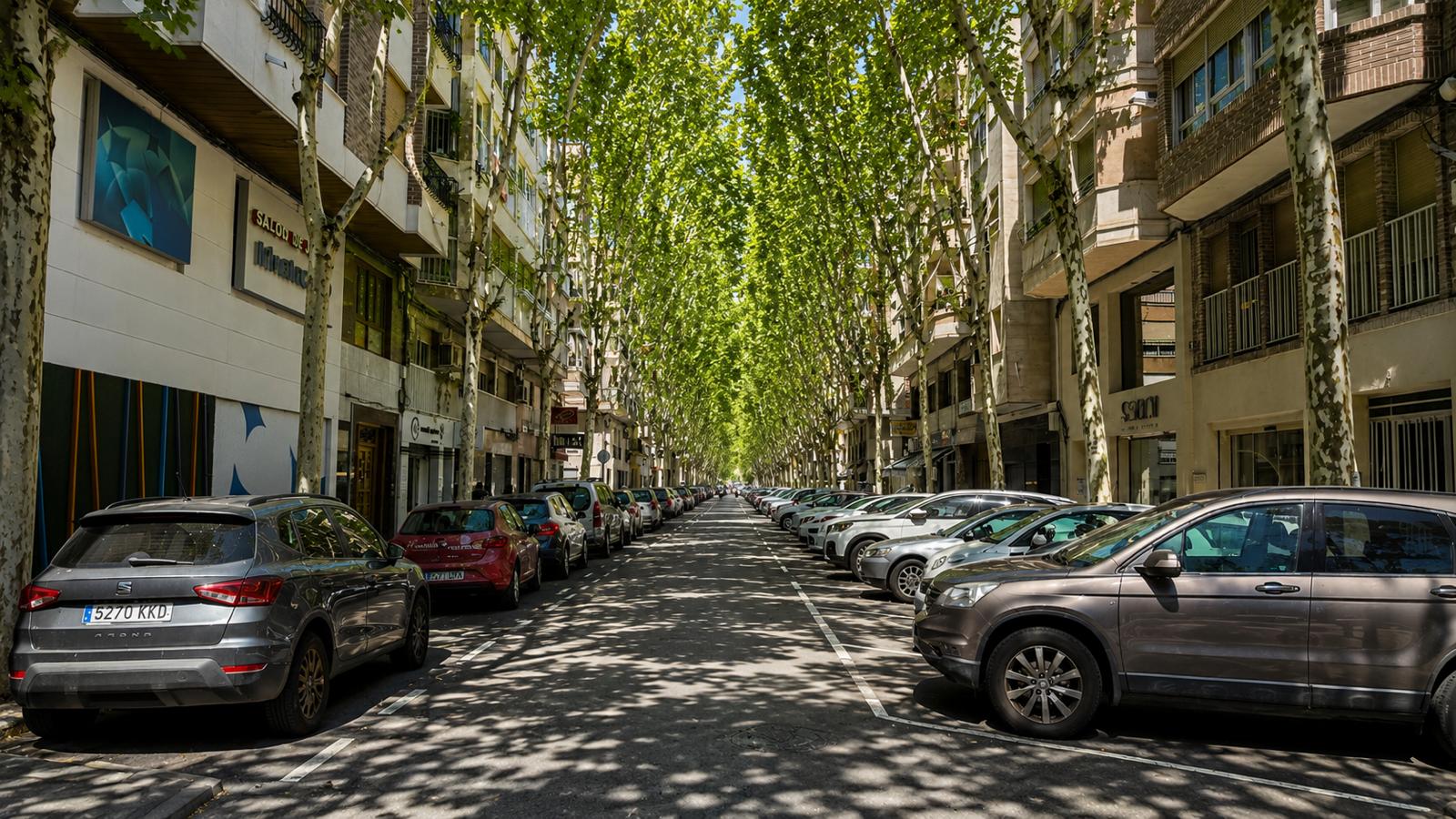 Elche proyecta la plantación de 200 árboles en las calles Doctor Ferrán, Andreu Castillejos y Cristobal Sanz Elche proyecta la plantación de 200 árboles en las calles Doctor Ferrán, Andreu Castillejos y Cristobal Sanz