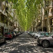 Recreación de la calle Doctor Ferrán de Elche con árboles de gran porte. 
