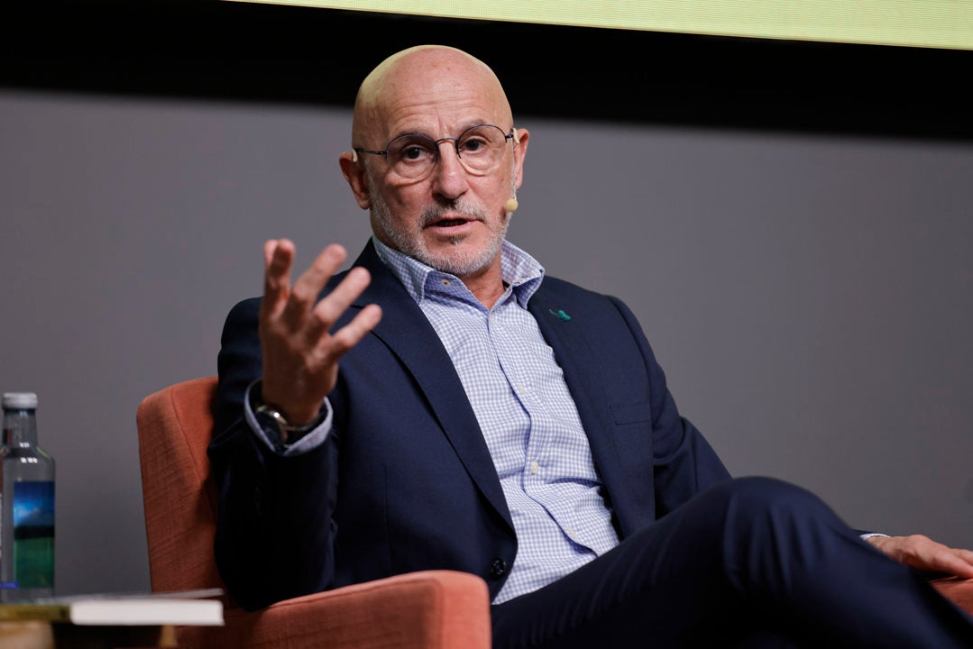 De la Fuente: "Es posible que vaya al Mundial algún jugador no convocado hasta ahora" De la Fuente: "Es posible que vaya al Mundial algún jugador no convocado hasta ahora"