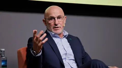 De la Fuente: "Es posible que vaya al Mundial algún jugador no convocado hasta ahora" De la Fuente: "Es posible que vaya al Mundial algún jugador no convocado hasta ahora"