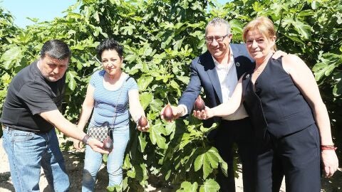 Albatera invita a participar en las Jornadas Gastronómicas de la Breva en ocho restaurantes de la localidad Albatera invita a participar en las Jornadas Gastronómicas de la Breva en ocho restaurantes de la localidad