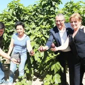 Albatera invita a participar en las Jornadas Gastronómicas de la Breva en ocho restaurantes de la localidad Albatera invita a participar en las Jornadas Gastronómicas de la Breva en ocho restaurantes de la localidad