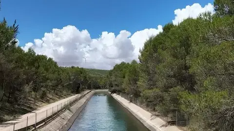 Castilla-La Mancha celebra la última sentencia del Supremo contra los regantes de Levante Castilla-La Mancha celebra la última sentencia del Supremo contra los regantes de Levante