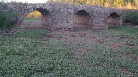 Puente romano de Oreto en Gran&aacute;tula