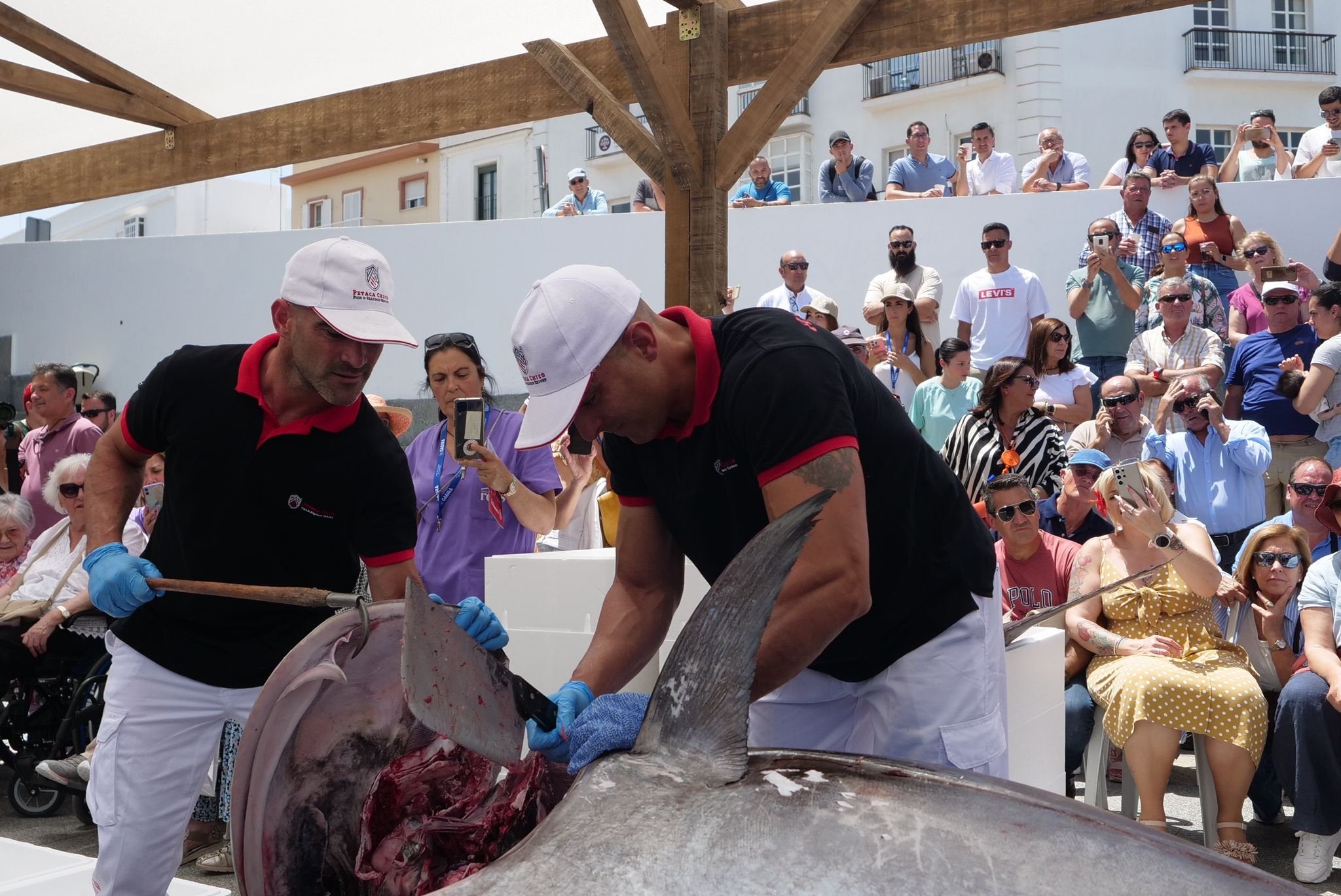 La III Feria del Atún de Chiclana celebra el manjar de la costa gaditana este fin de semana La III Feria del Atún de Chiclana celebra el manjar de la costa gaditana este fin de semana
