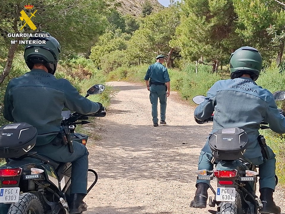 La Guardia Civil de Alicante imputa a un hombre la comisión de 24 incendios forestales en la Serra Grossa La Guardia Civil de Alicante imputa a un hombre la comisión de 24 incendios forestales en la Serra Grossa