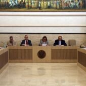 Pleno Diputación Provincial de Toledo. 