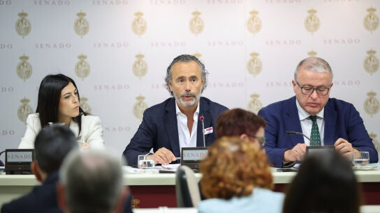 El presidente de la Asociaci&oacute;n V&iacute;ctimas Descarrilamiento Adamuz (AVDA), Mario Samper Pereira (c), comparece ante la Comisi&oacute;n de Investigaci&oacute;n sobre el estado de la red ferroviaria en Espa&ntilde;a