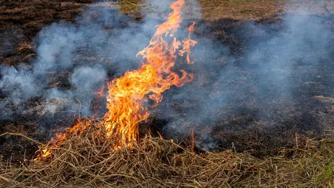 Un hombre muere en un incendio de pastos en Almendralejo Un hombre muere en un incendio de pastos en Almendralejo
