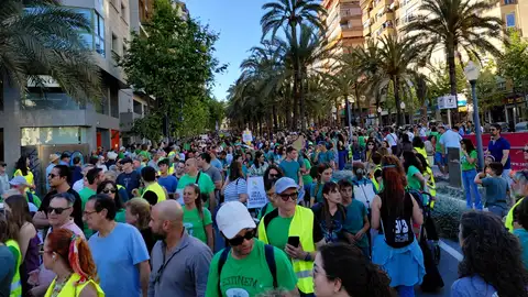 Una de las manifestaciones de los profesores en Alicante Una de las manifestaciones de los profesores en Alicante