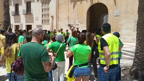 Profesores concentrados en la plaza de Baix de Elche. Profesores concentrados en la plaza de Baix de Elche.