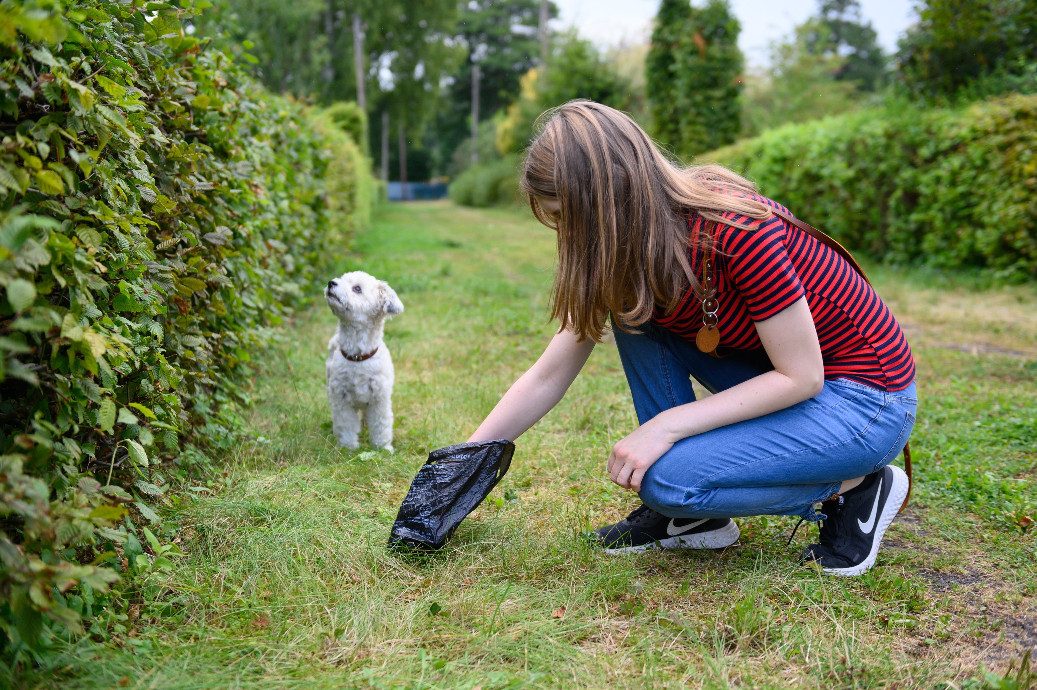 ¿Higiene o atraco? Algunas ciudades ya rastrean el ADN de los excrementos de mascotas para multar a los dueños ¿Higiene o atraco? Algunas ciudades ya rastrean el ADN de los excrementos de mascotas para multar a los dueños