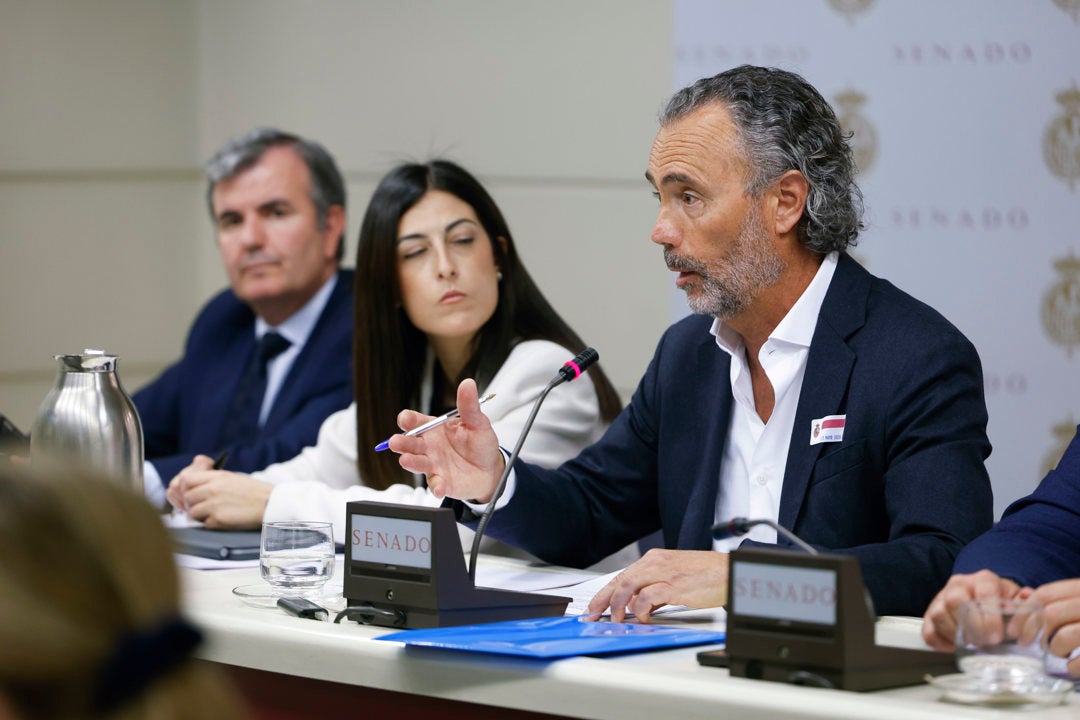 Las víctimas de Adamuz piden la dimisión de Óscar Puente y Luis Pedro Marco como "últimos responsables del accidente" Las víctimas de Adamuz piden la dimisión de Óscar Puente y Luis Pedro Marco como "últimos responsables del accidente"