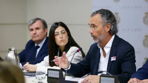 El presidente de la Asociación Víctimas Descarrilamiento Adamuz, Mario Samper Las víctimas de Adamuz piden la dimisión de Óscar Puente y Luis Pedro Marco como "últimos responsables del accidente"