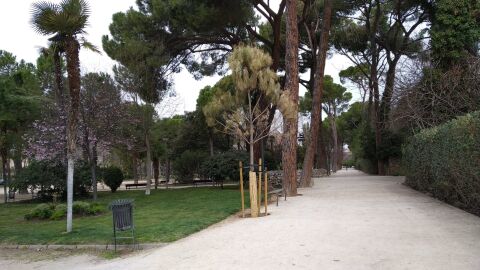 Parque O&acute;Donnell de Alcal&aacute; de Henares