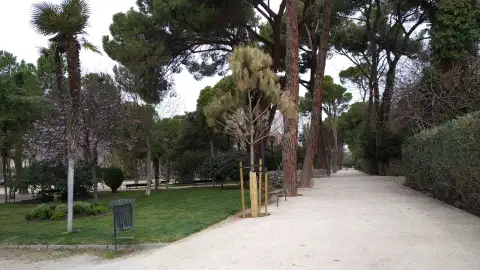 El plan "‘Parques con Vida" permitirá la renaturalización y mejora de 14 zonas verdes de Alcalá de Henares Parque O´Donnell de Alcalá de Henares
