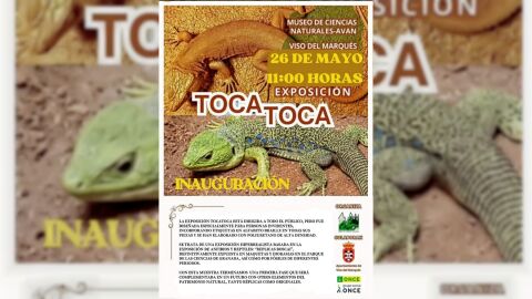Exposici&oacute;n Toca Toca