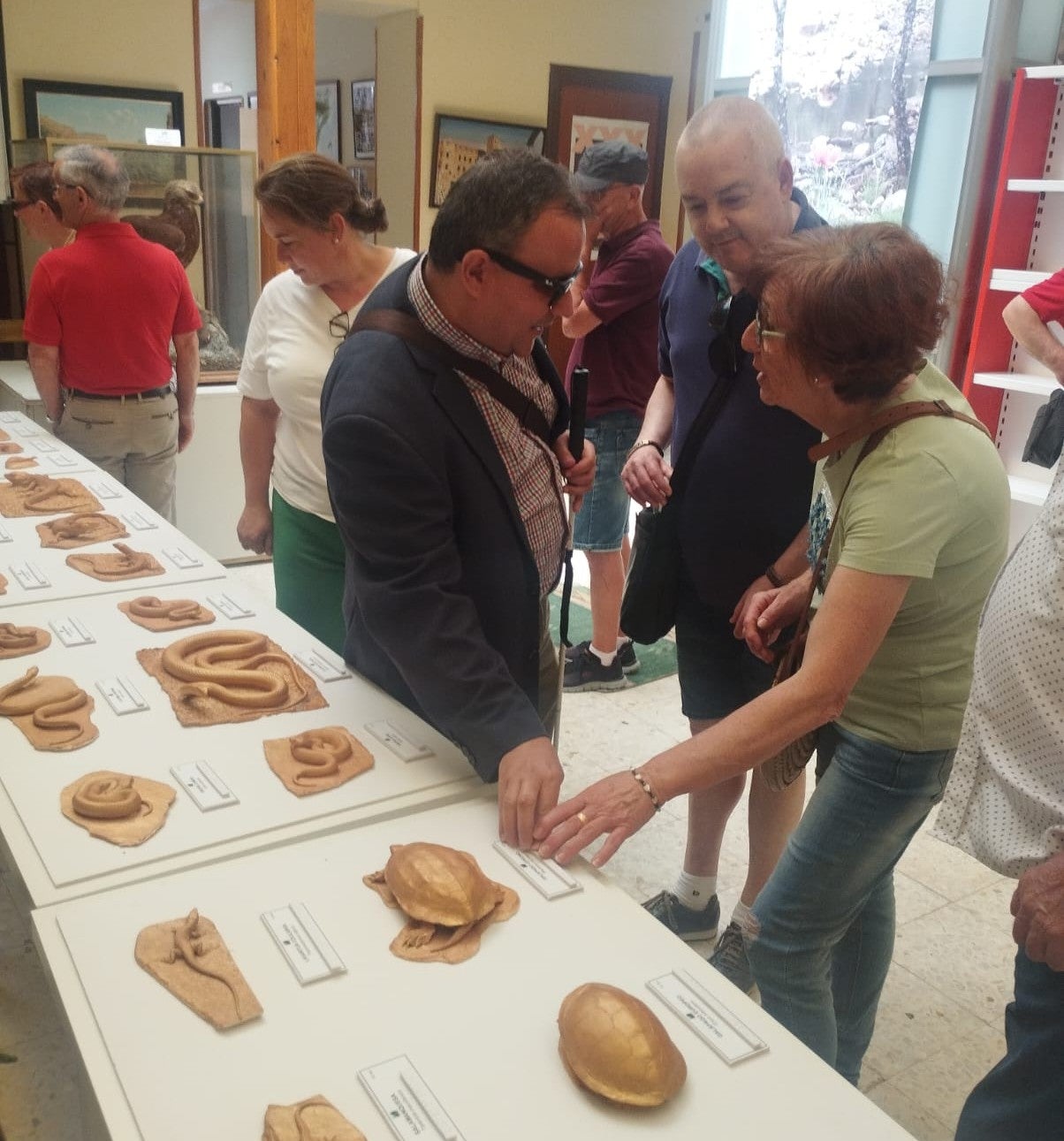 "Toca, toca", la nueva exposición del Museo de Ciencias Naturales de Viso del Marqués "Toca, toca", la nueva exposición del Museo de Ciencias Naturales de Viso del Marqués