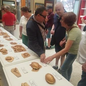 "Toca, toca", la nueva exposición del Museo de Ciencias Naturales de Viso del Marqués "Toca, toca", la nueva exposición del Museo de Ciencias Naturales de Viso del Marqués