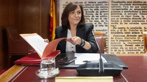Ana María Fuentes en su comparecencia ante la comisión sobre el caso Koldo, en el Senado, a 23 de octubre de 2025. Ana María Fuentes en su comparecencia ante la comisión sobre el caso Koldo, en el Senado, a 23 de octubre de 2025.