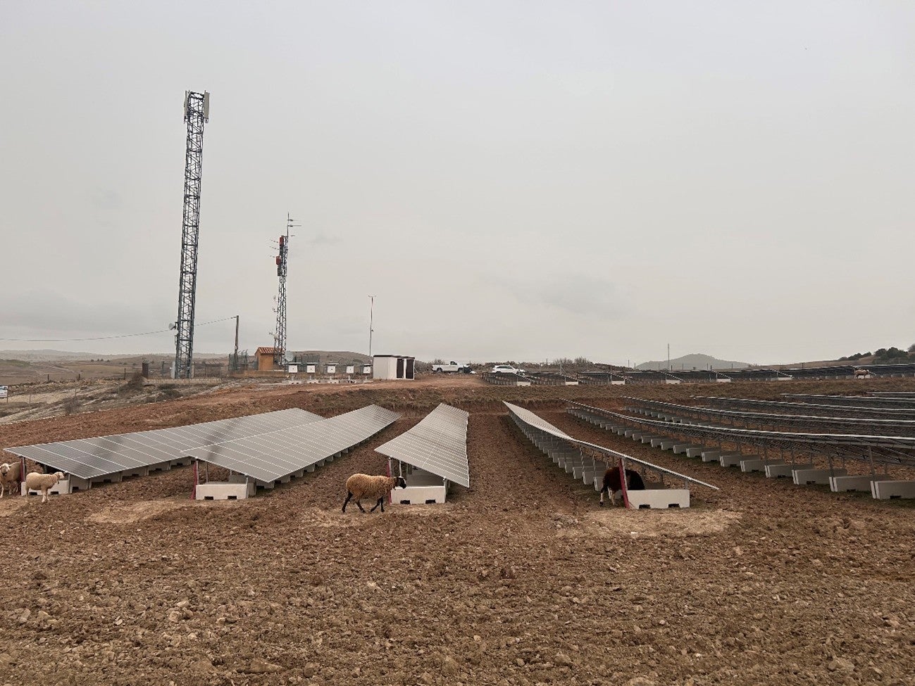 Jamones El Ferial refuerza su eficiencia energética con una nueva planta fotovoltaica en Teruel Jamones El Ferial refuerza su eficiencia energética con una nueva planta fotovoltaica en Teruel