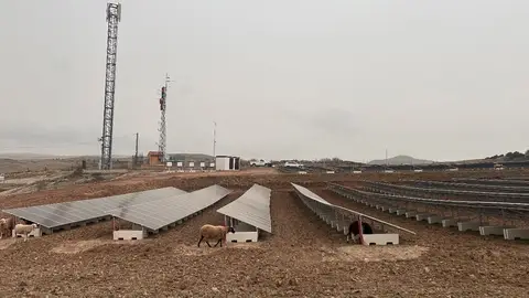 Jamones El Ferial refuerza su eficiencia energética con una nueva planta fotovoltaica en Teruel Jamones El Ferial refuerza su eficiencia energética con una nueva planta fotovoltaica en Teruel
