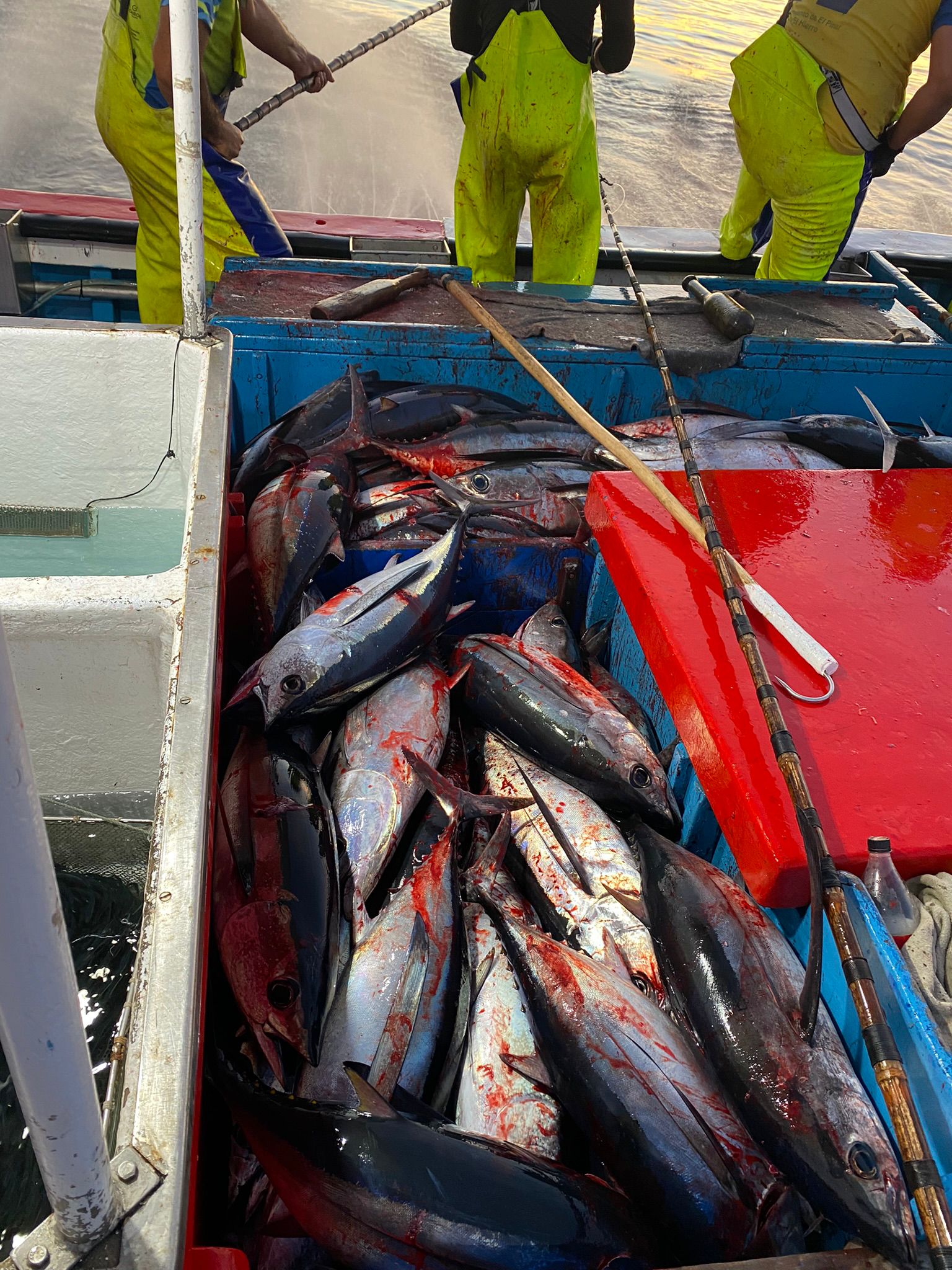 Manuel J. Iglesias: "“Ir a buscar pescado sin certeza sería perder dinero”. Manuel J. Iglesias: "“Ir a buscar pescado sin certeza sería perder dinero”.