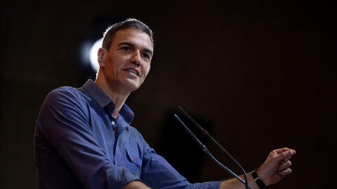 El presidente del Gobierno y secretario general del PSOE, Pedro S&aacute;nchez,