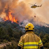 La campanya d'incendis d'aquest estiu 2026 podria complicar-se per les pluges abundants de l'hivern