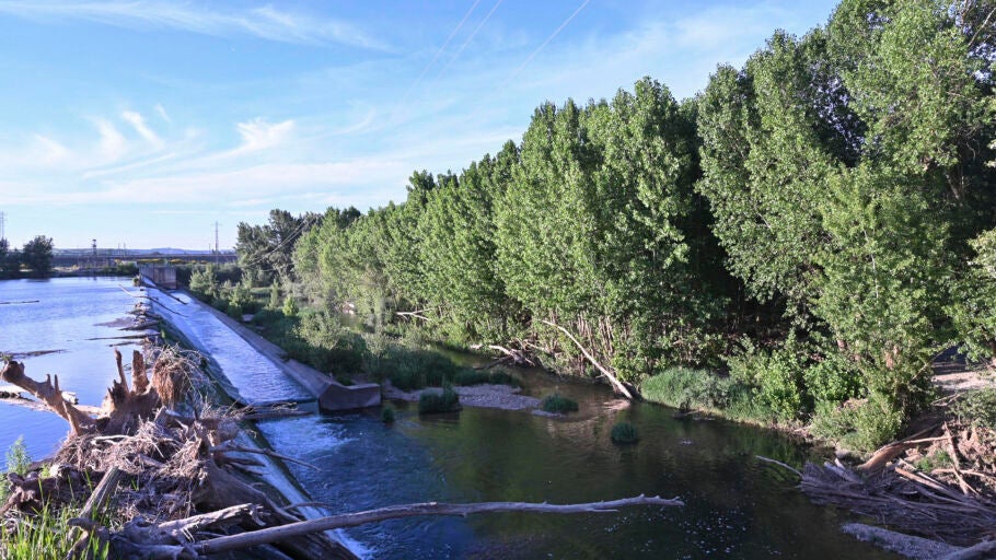 Presa de Ba&ntilde;os de Cerrato, en Venta de Ba&ntilde;os (Palencia)