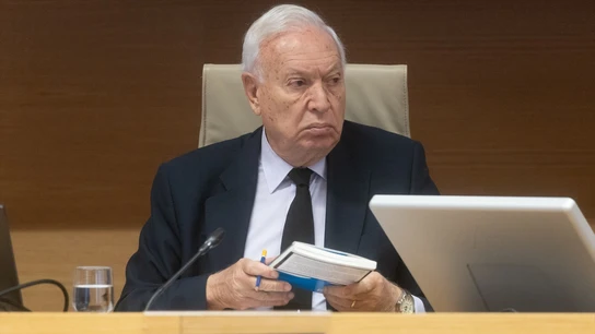 El exministro de Asuntos Exteriores, José Manuel García-Margallo en el Senado. Foto de archivo El exministro de Asuntos Exteriores, José Manuel García-Margallo en el Senado. Foto de archivo